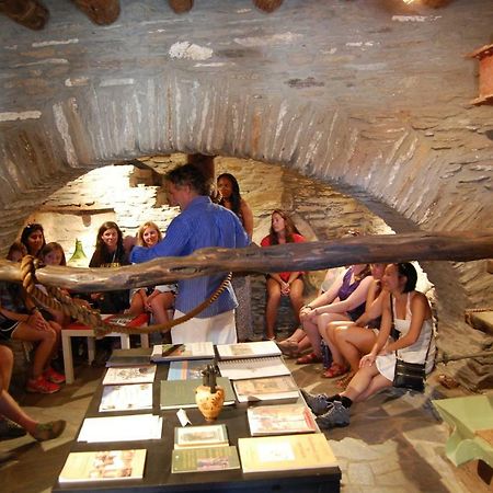 Cyclades Olive Museum'S Guest House Πιτροφός Εξωτερικό φωτογραφία