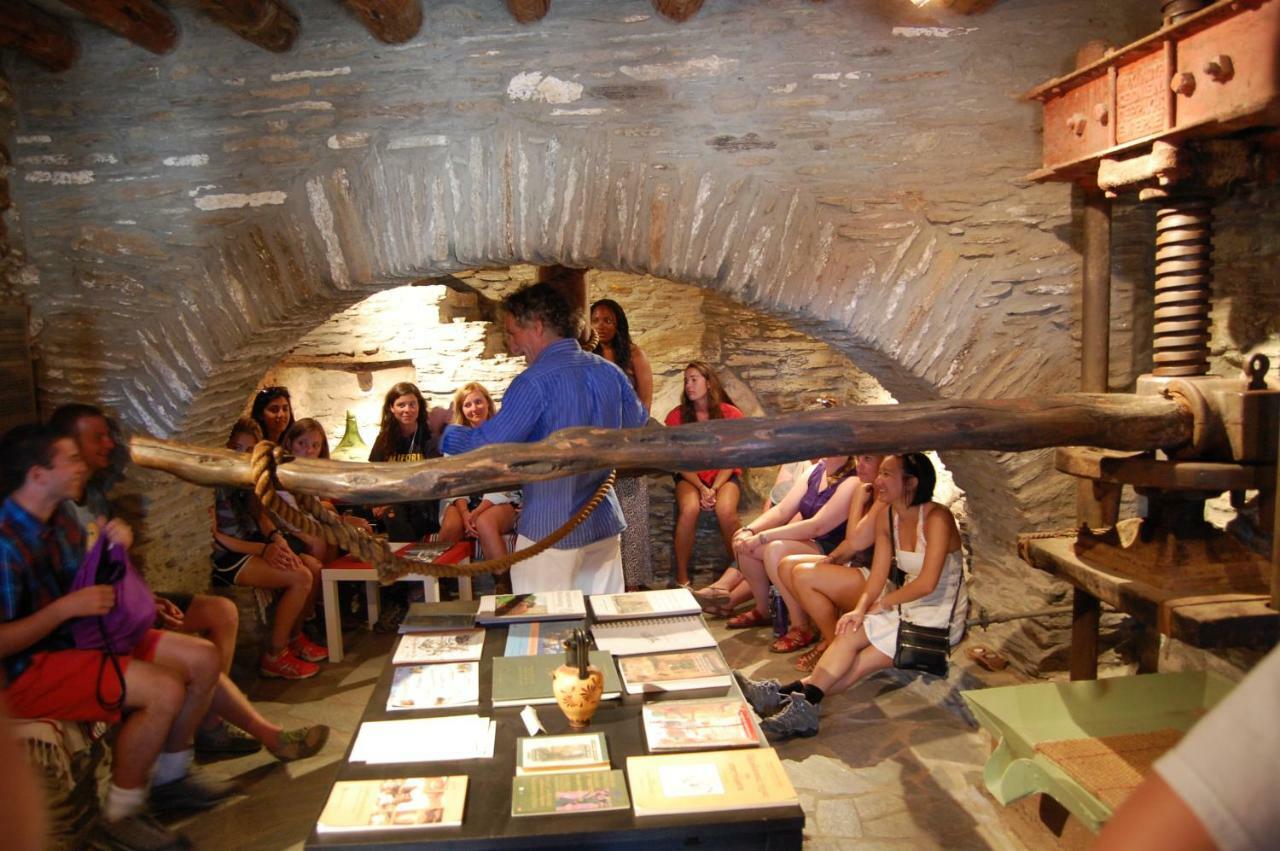 Cyclades Olive Museum'S Guest House Πιτροφός Εξωτερικό φωτογραφία